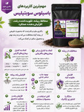 کود قارچ کش زیستی جامد باسیلوس سوبتیلیس کروا