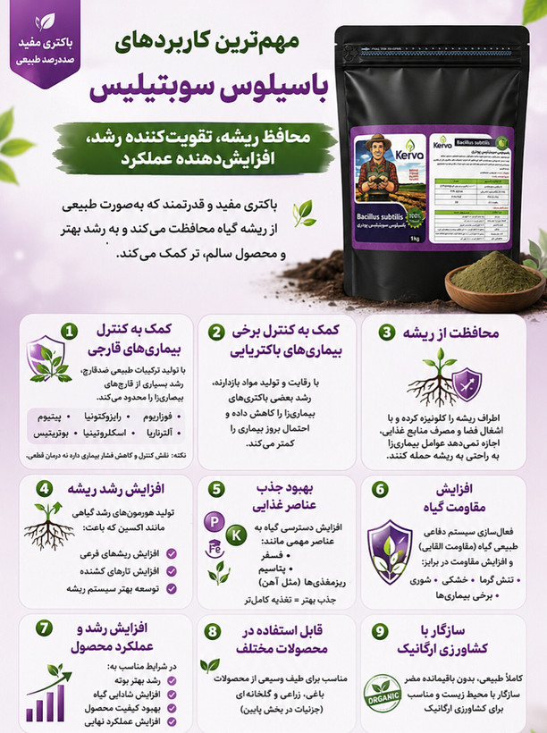 کود قارچ کش زیستی جامد باسیلوس سوبتیلیس کروا